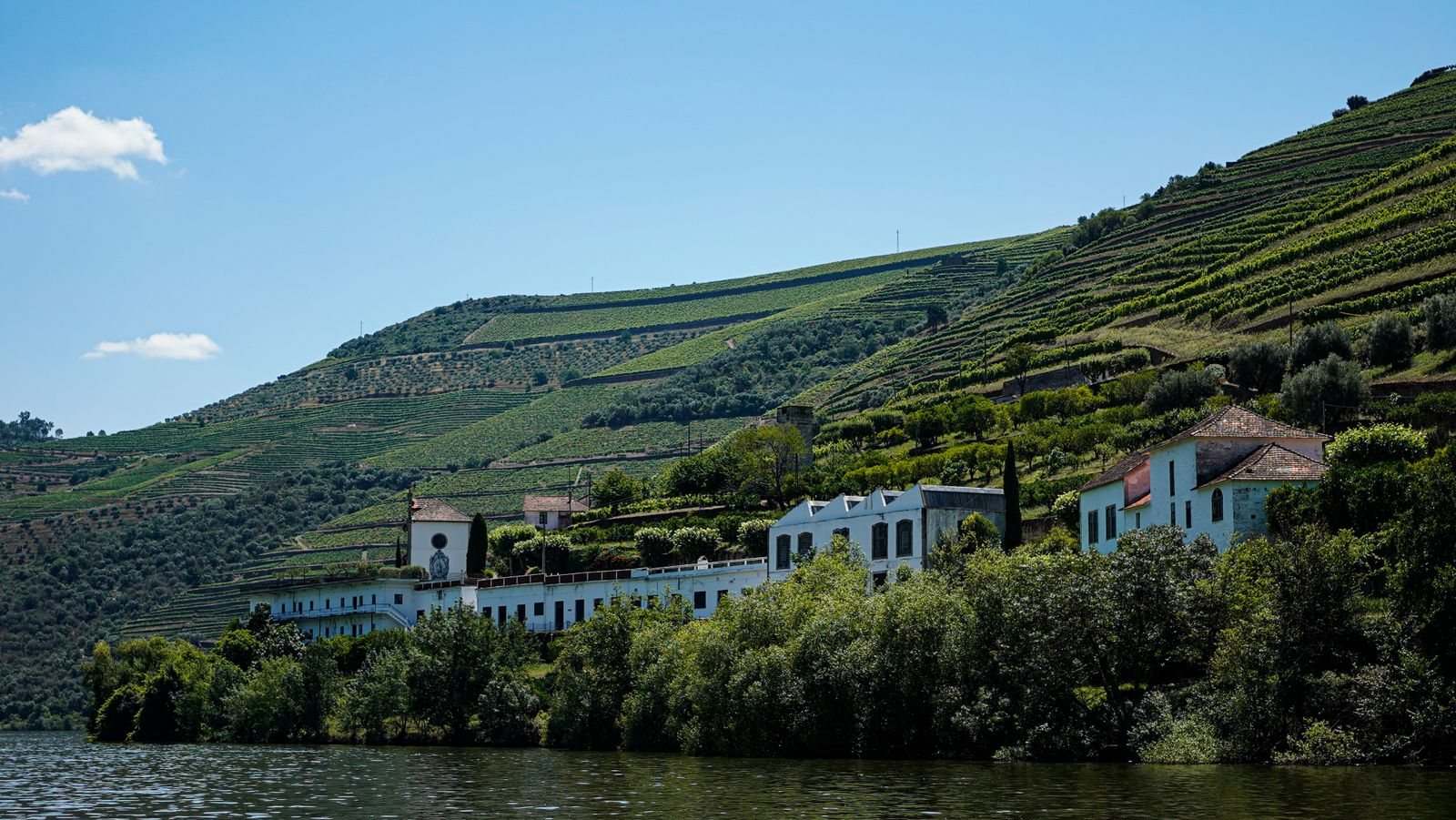 Douro Valley travel guide: the best things to do in the Douro Valley, where to stay and when to go