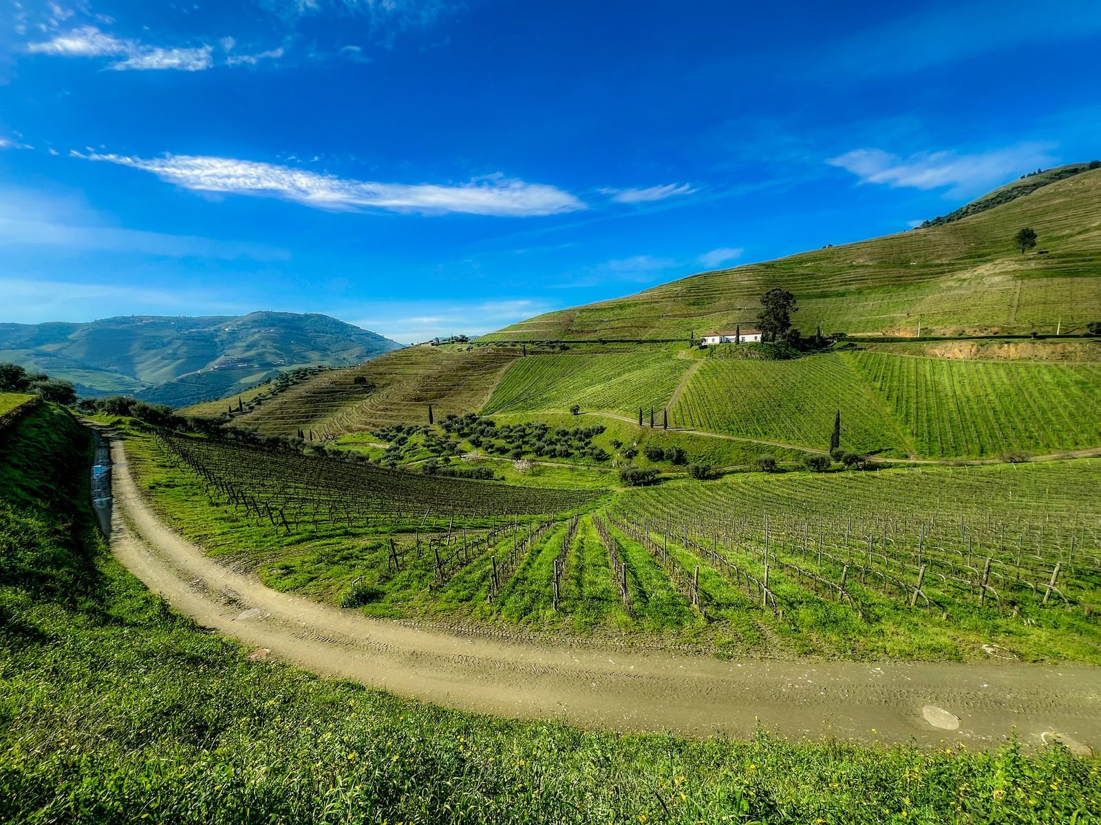 Douro Valley travel guide highlights and the sights worth your time in the Douro Valley
