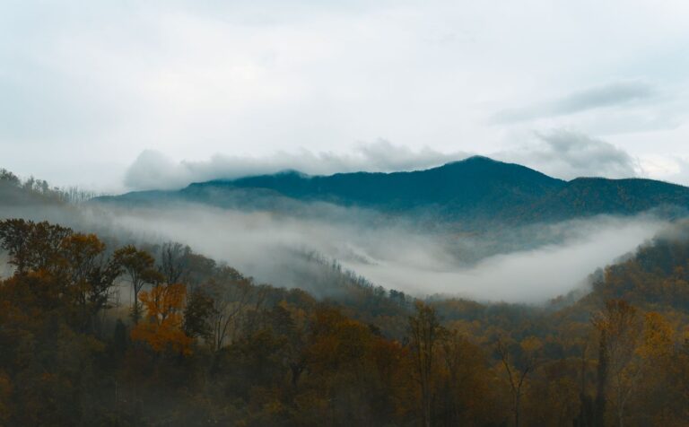 Great Smoky Mountains National Park: the best things to do in the Great Smoky Mountains, where to stay and when to go