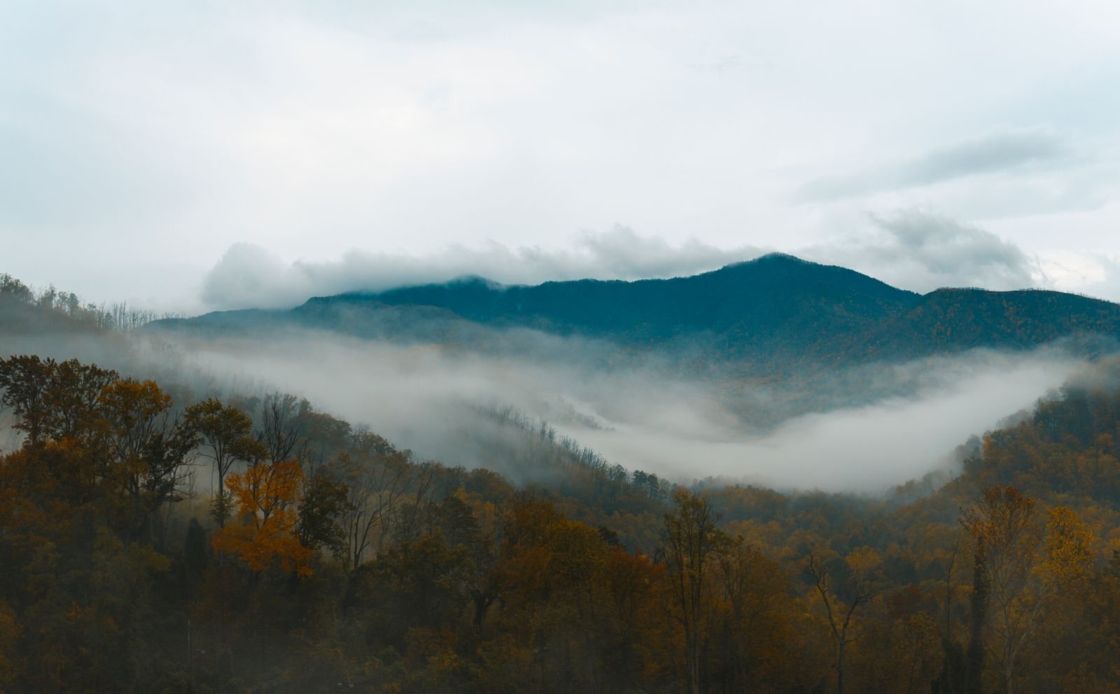 Great Smoky Mountains National Park: the best things to do in the Great Smoky Mountains, where to stay and when to go