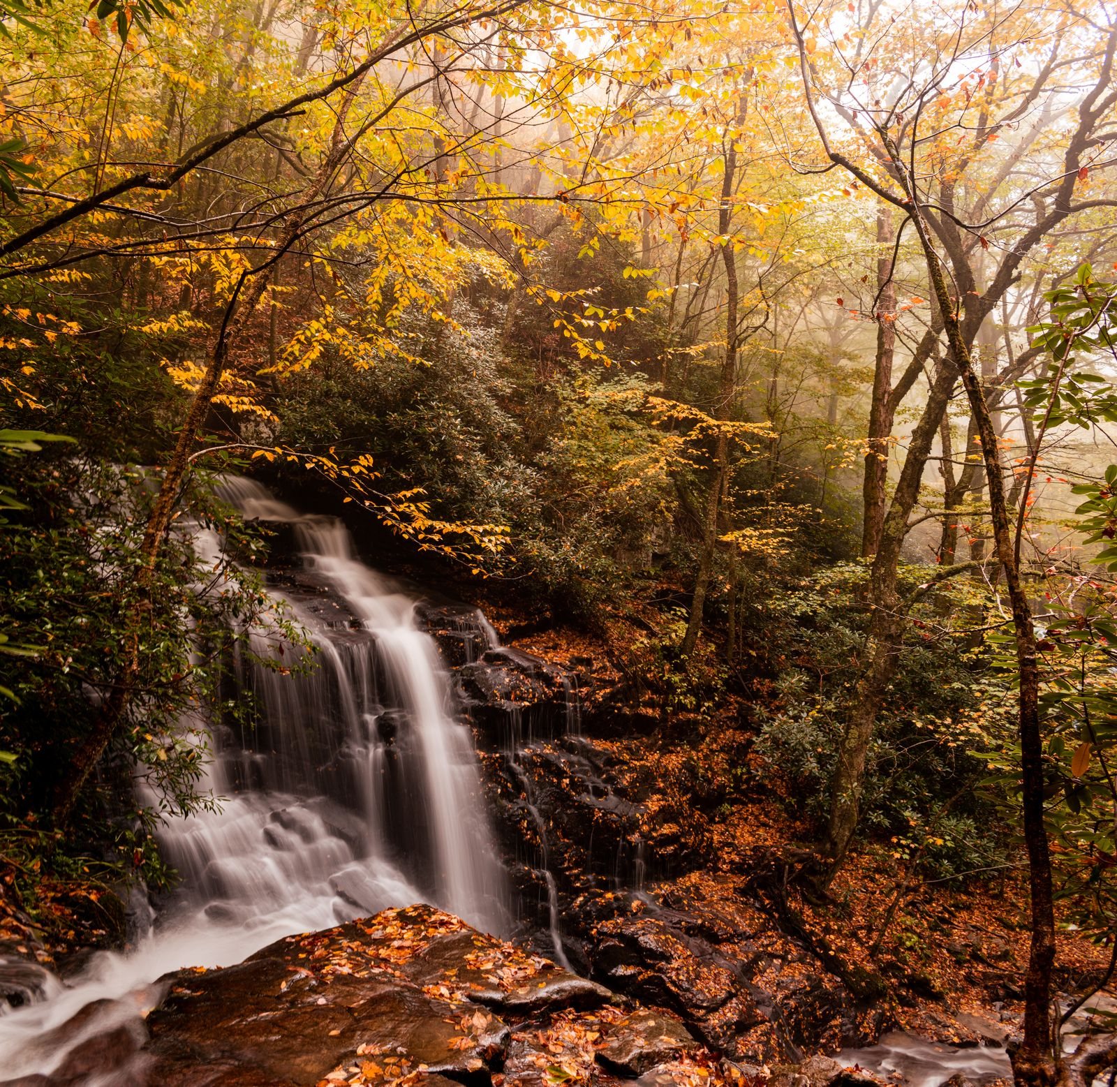 Great Smoky Mountains National Park tips on getting around the Great Smoky Mountains, costs and what we wish we knew