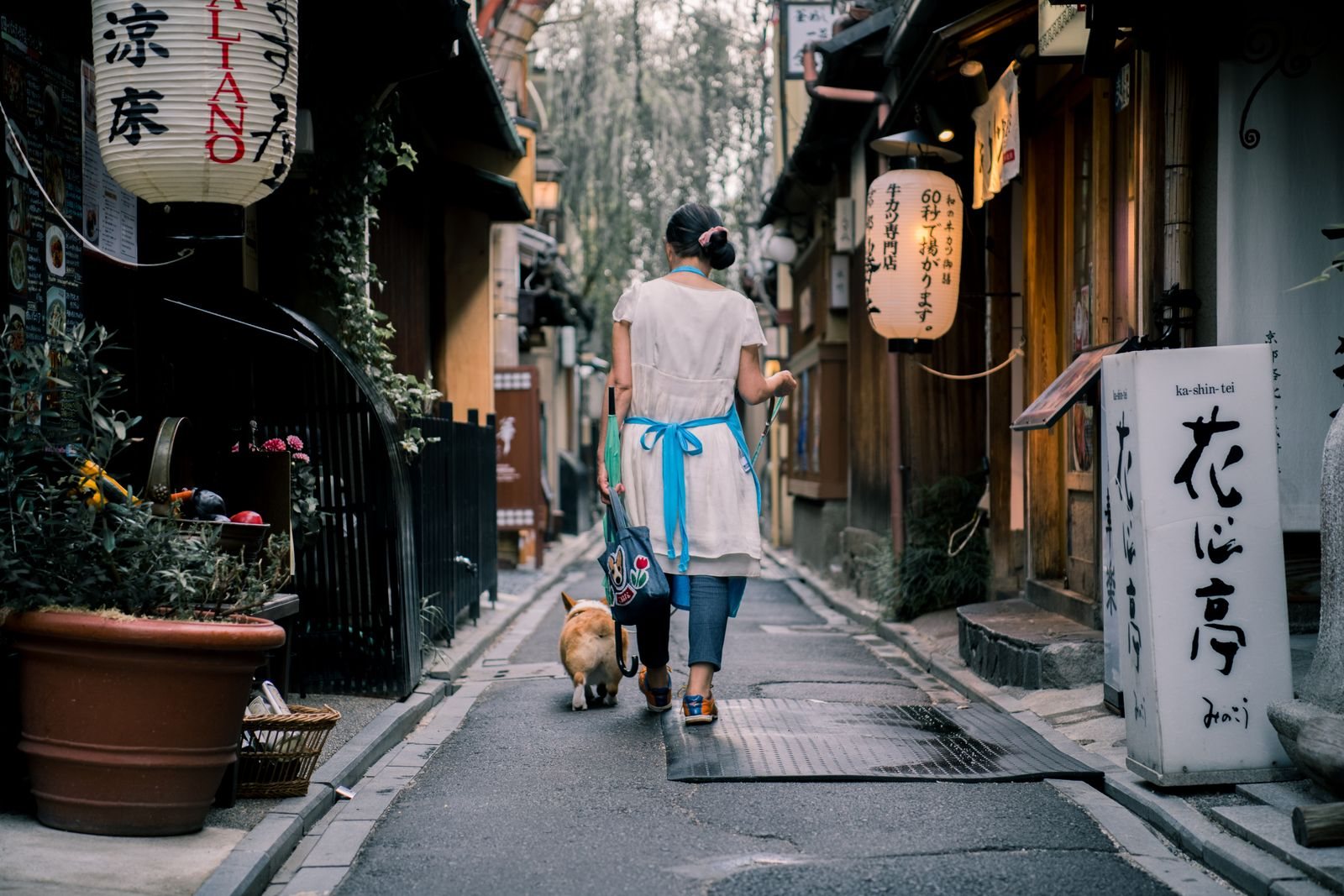 How to plan a trip to Japan with Kyoto on the route