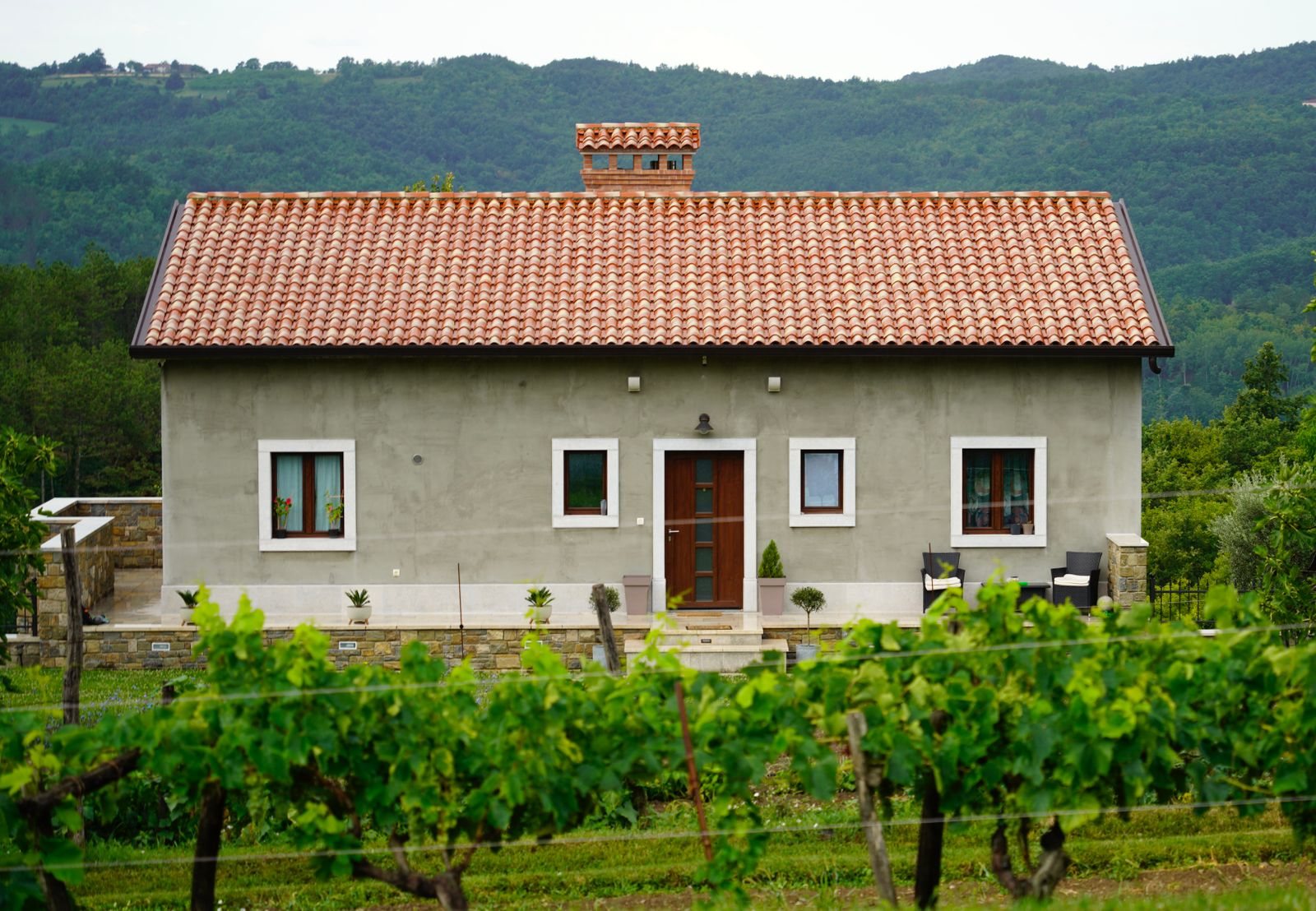 Istria food and wine: truffle season and where to taste it