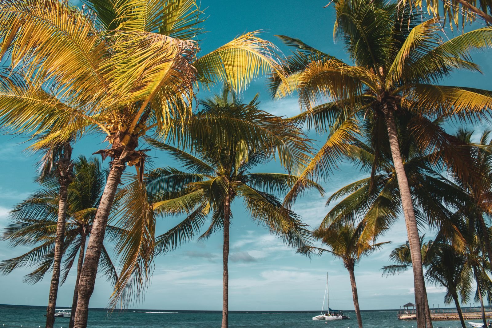 Jamaica on a budget tips on getting around Jamaica, costs and what we wish we knew