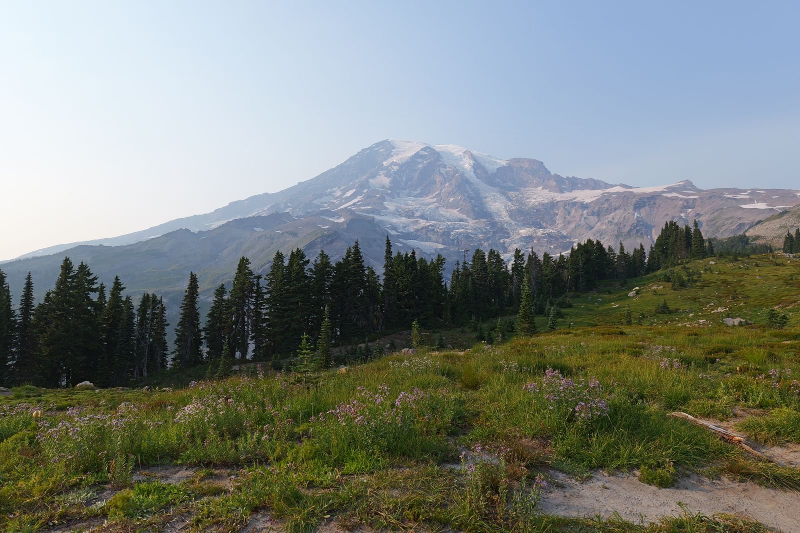 Mount Rainier travel guide to wildflower meadows and hikes