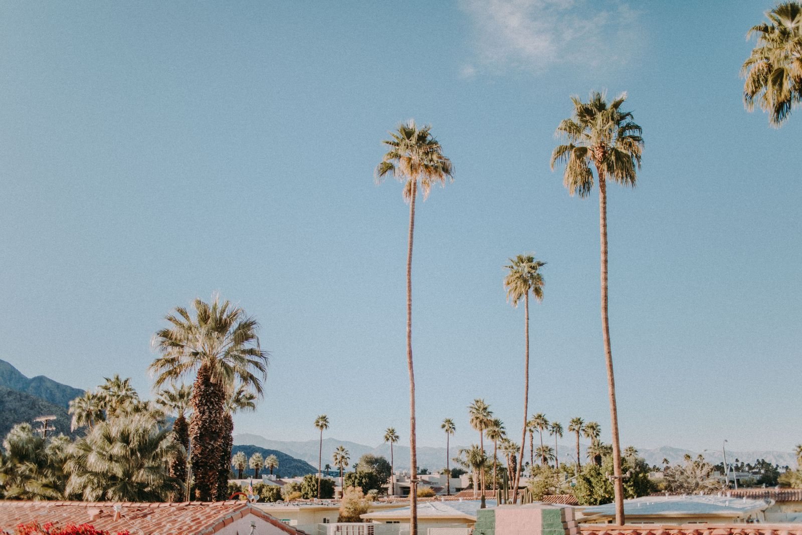 Palm Springs travel guide: best time to visit, hotels and the tramway