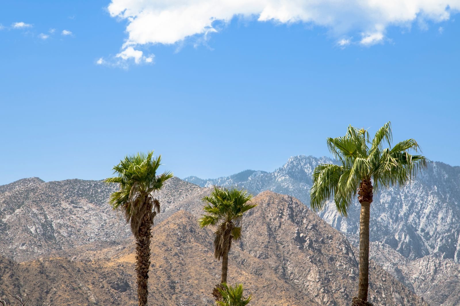 Palm Springs travel guide to the aerial tramway and Joshua Tree day trips