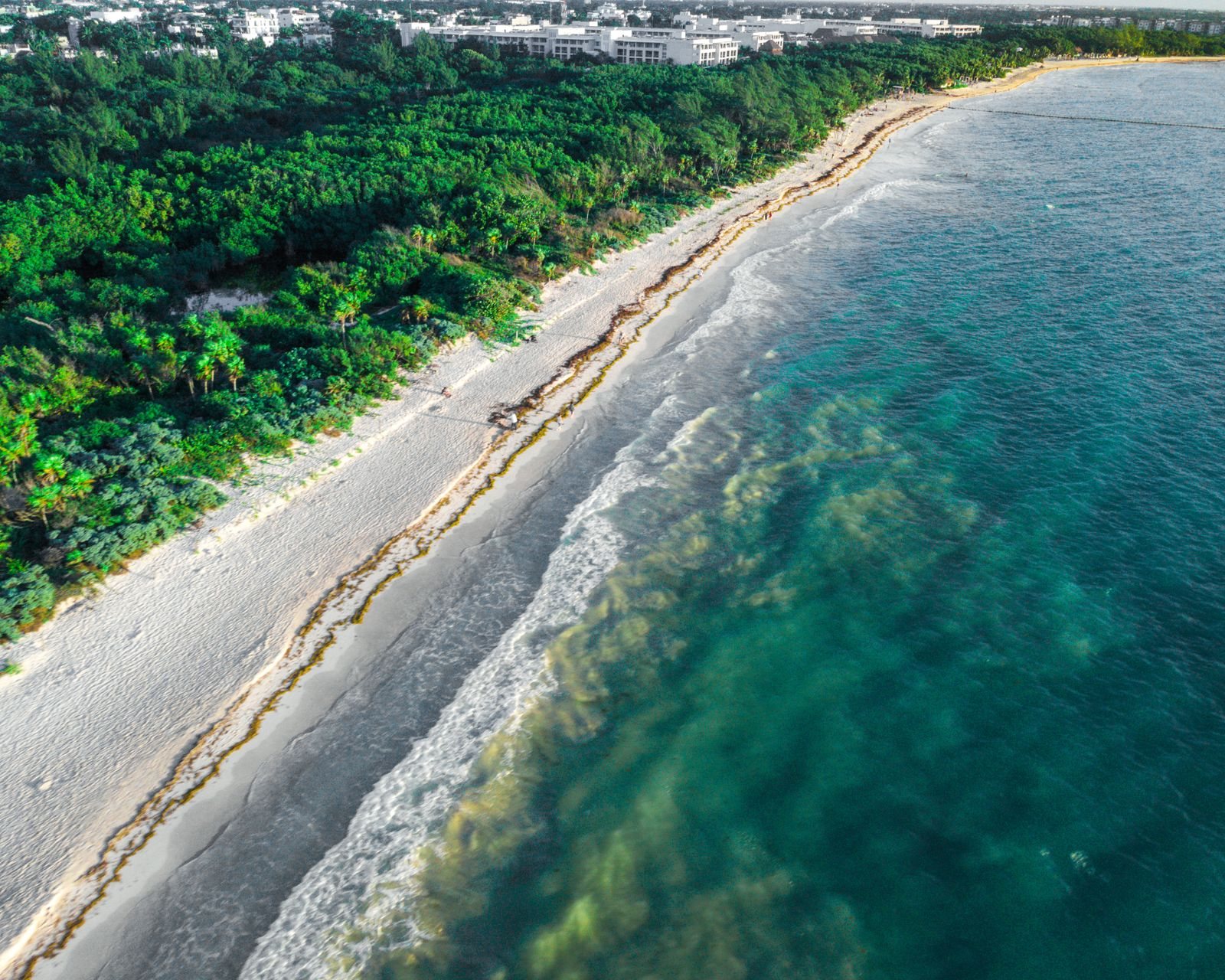 Playa del Carmen travel guide: the best things to do in Playa del Carmen, where to stay and when to go