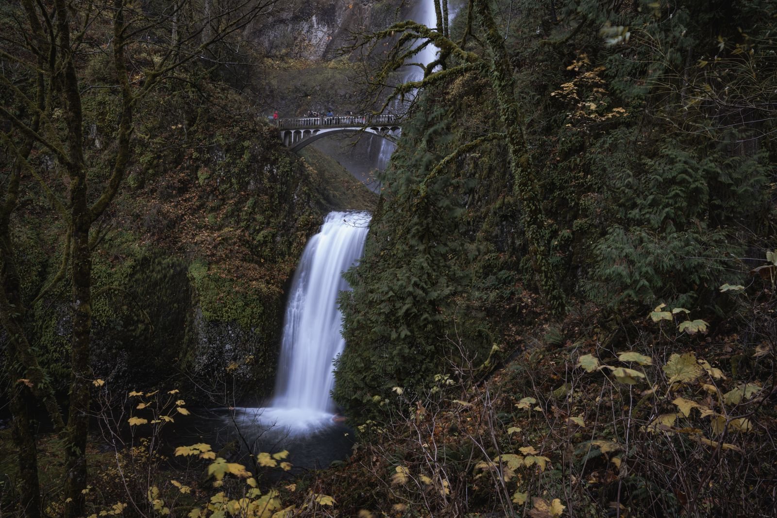 Portland Oregon travel guide highlights and the sights worth your time in Portland