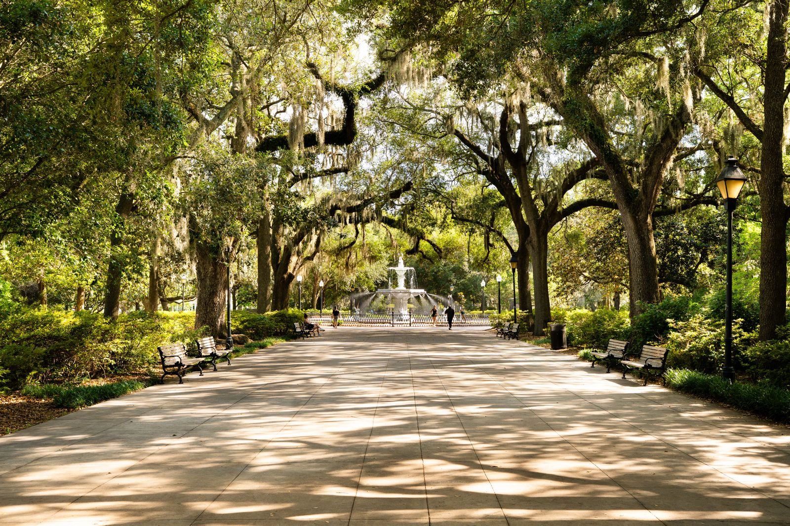 Savannah travel guide tips on getting around Savannah, costs and what we wish we knew