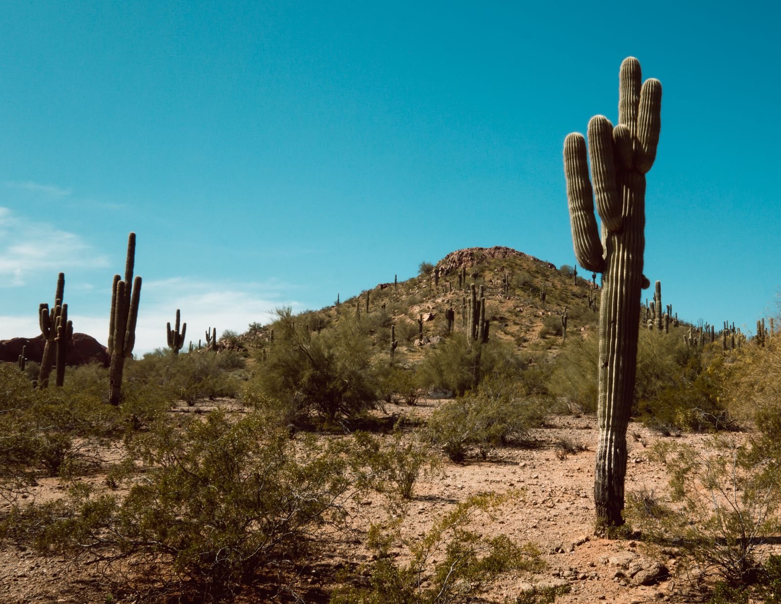 Scottsdale travel guide highlights and the sights worth your time in Scottsdale