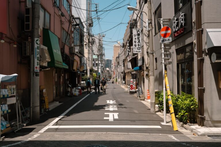 Travelling to Tokyo: the best things to do in Tokyo, where to stay and when to go