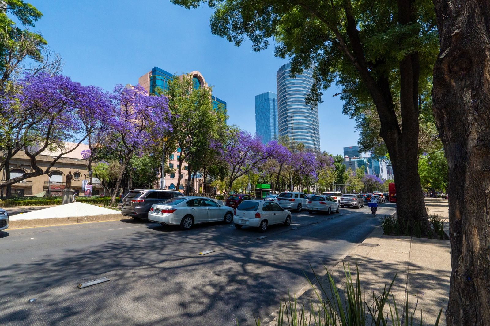 Trip to Mexico cost in Mexico City and the highlands
