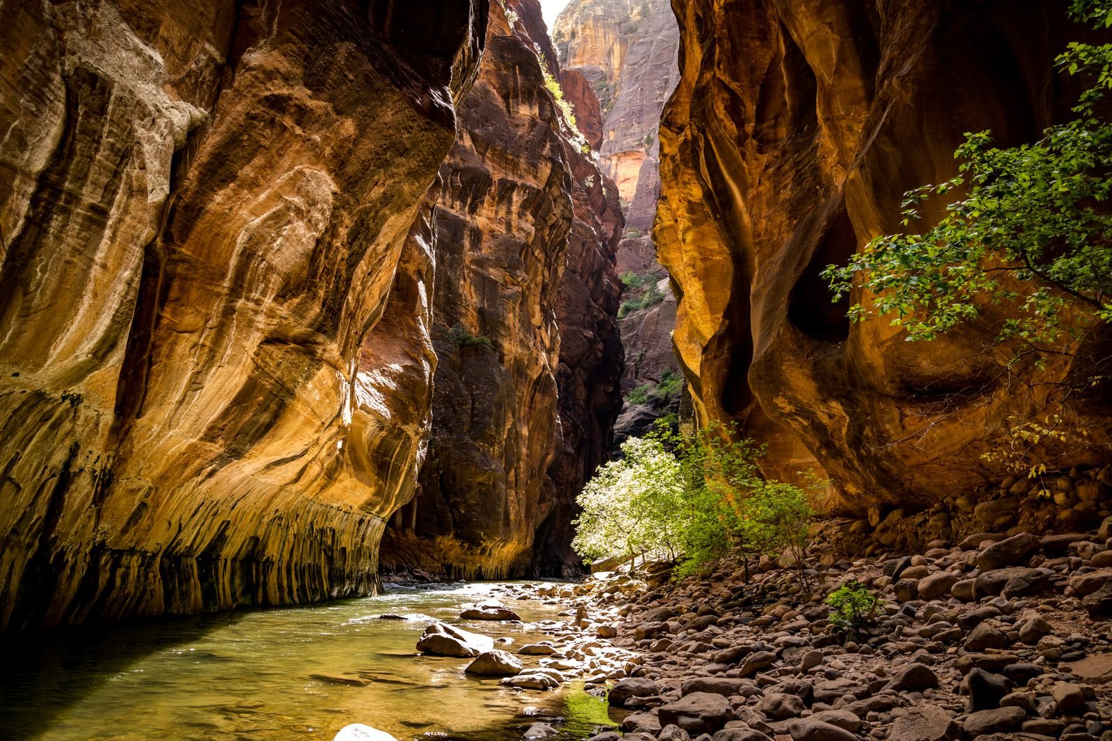 Zion National Park travel guide tips on getting around Zion, costs and what we wish we knew
